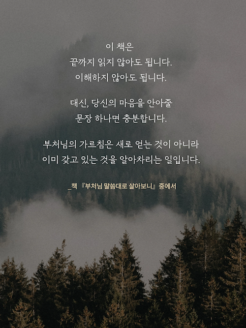 이미지 = 출판사 윌마 제공