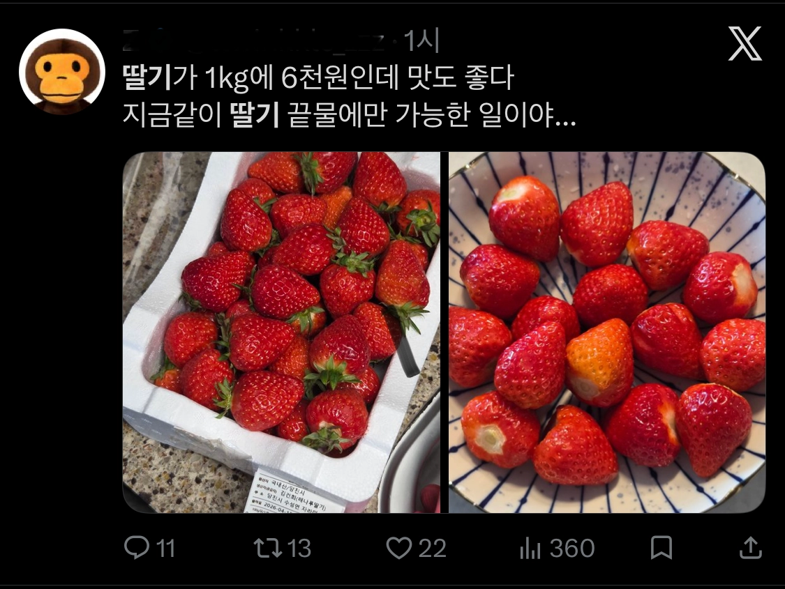 이미지 = X 이미지 캡처 (https://x.com/ttwinkkle_zzz/status/2047257720458527042?s=12&t=7ap-stw9Z_jUiPgrAmdxGw)