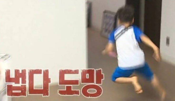 이미지 = 핀테레스트 캡쳐 (https://kr.pinterest.com/pin/91620173664289013/)