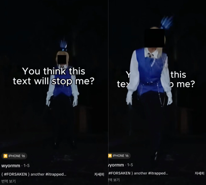 이미지 = 틱톡 ‘@wyormm’ 채널 영상 캡처 (https://www.tiktok.com/@wyormm/video/7591814946397326613)