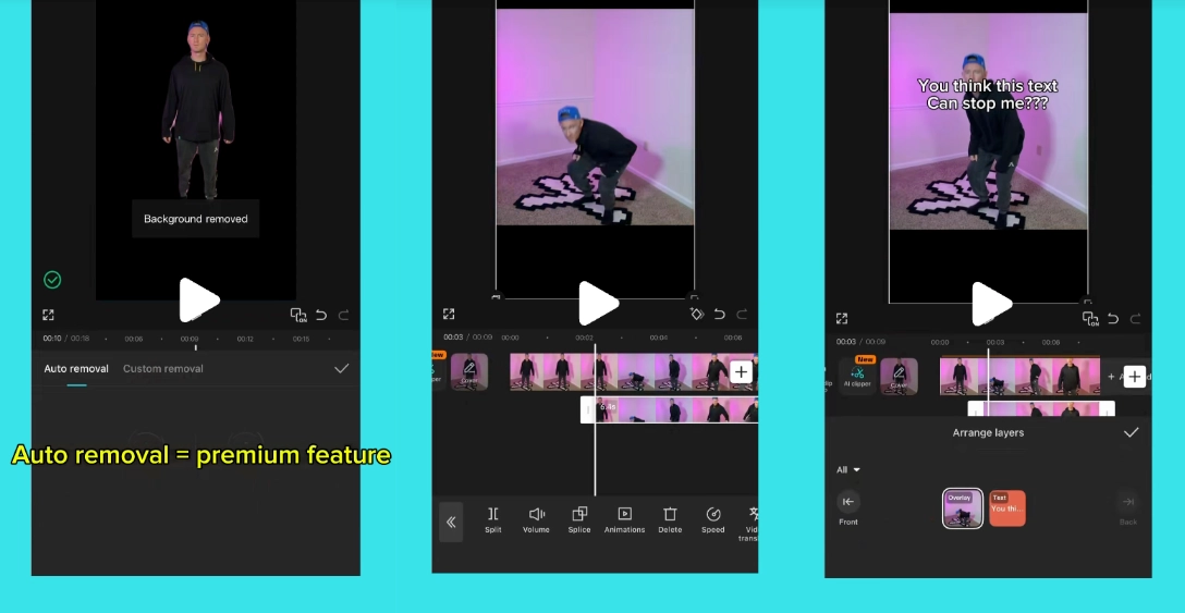 이미지 = 틱톡 ‘@winchumbo’ 채널 영상 캡처 (https://www.tiktok.com/@winchumbo/video/7594618043523714359)