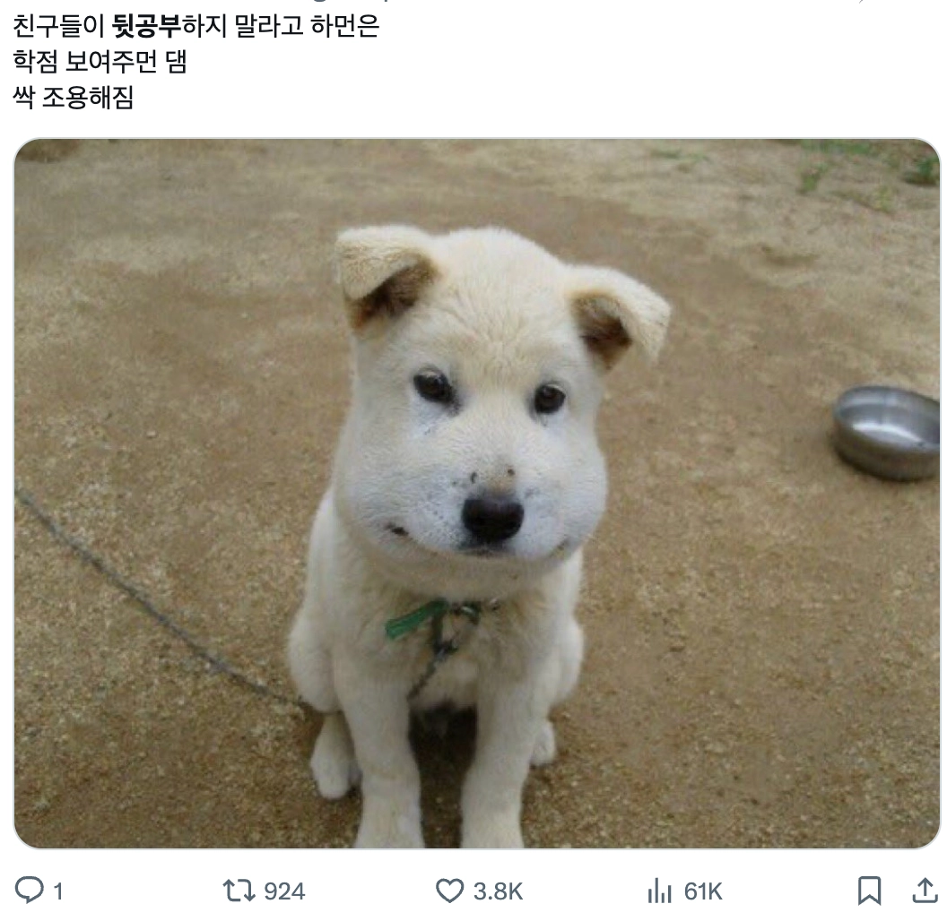 이미지 = X 캡쳐 (https://x.com/kkaedoong2/status/2044027020217332101?s=20)