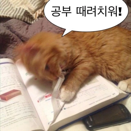 이미지 = 네이버 블로그 캡쳐 (https://blog.naver.com/mochi1898/222799309557)