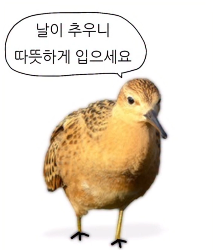 이미지 = 인스타그램 캡처 (https://www.instagram.com/p/DTK9AyykhV_/)
