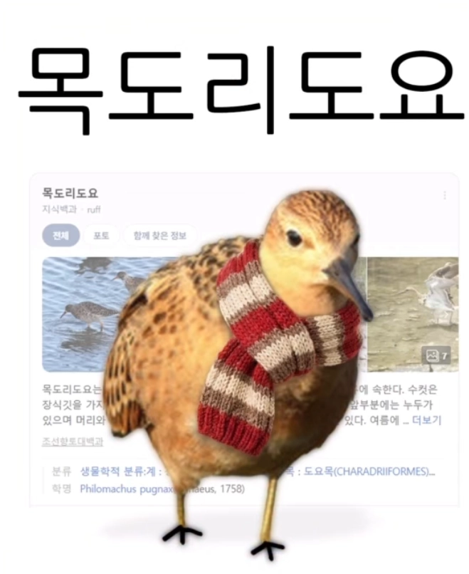 이미지 = 인스타그램 캡처 (https://www.instagram.com/p/DTK9AyykhV_/)