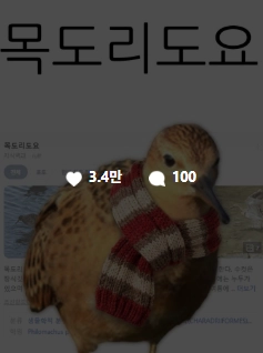 이미지 = 인스타그램 캡처 (https://www.instagram.com/p/DTK9AyykhV_/)
