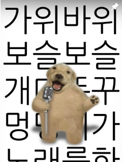 이미지 = 인스타그램 캡처 (https://www.instagram.com/p/DUzc1AujxBN/)