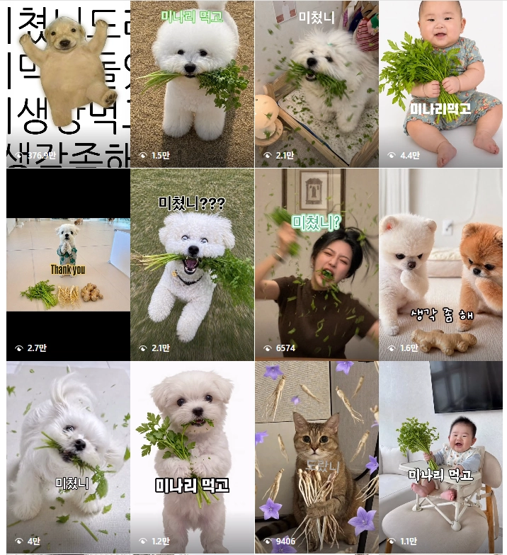 이미지 = 인스타그램 캡처 (https://www.instagram.com/reels/audio/26325111443819901/)
