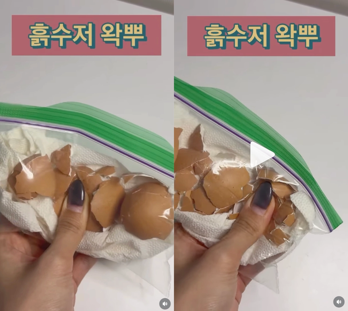 이미지 = 인스타그램 ‘@semdunge’ 채널 릴스 캡처  (https://www.instagram.com/reel/DX8PipBv_Gp/)