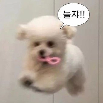 이미지 = 핀터레스트 캡처 (https://kr.pinterest.com/pin/931471135407833642/)