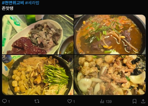 이미지 = X캡처 (https://x.com/Sela_Lady/status/2055638558925557831?s=20)