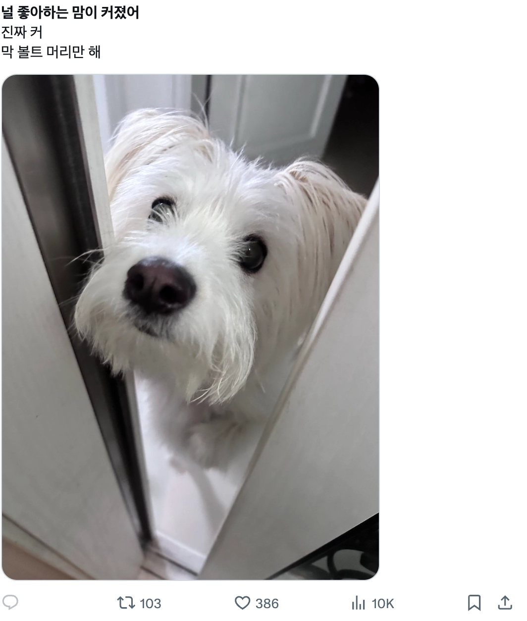 이미지 = X 캡쳐 (https://x.com/millionbolt/status/2030959750561841625?s=20)
