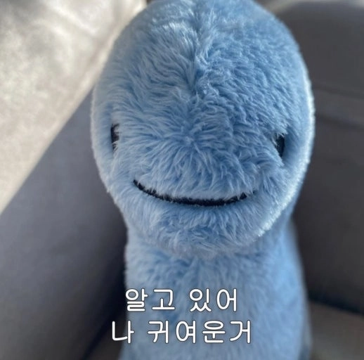 이미지 = 네이버 블로그 캡쳐 (https://blog.naver.com/ggg6270/222937092074)
