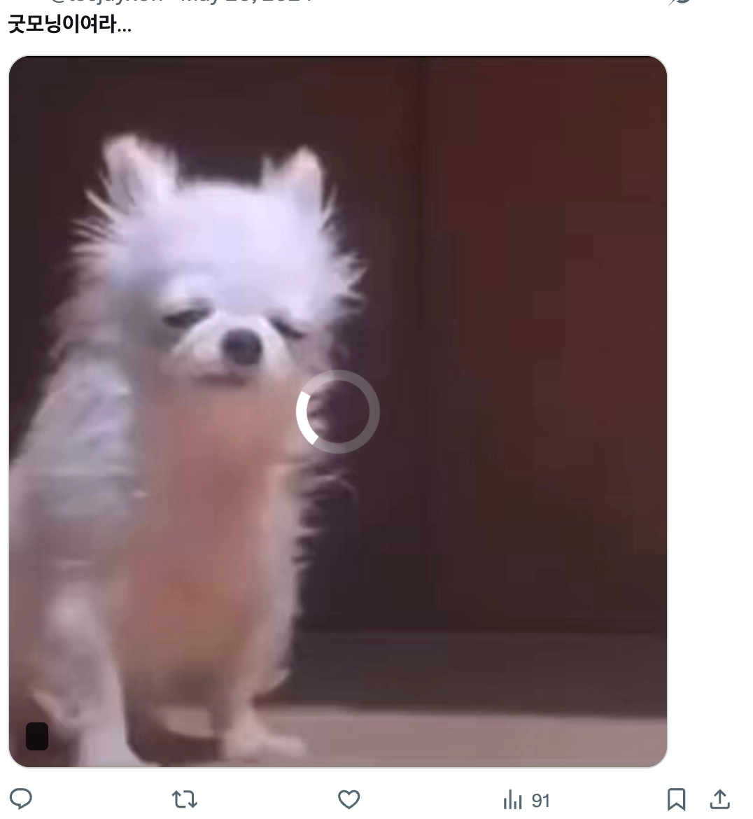 이미지 = X 캡쳐 (https://x.com/leejuyx0n/status/1792393753078256056?s=20)