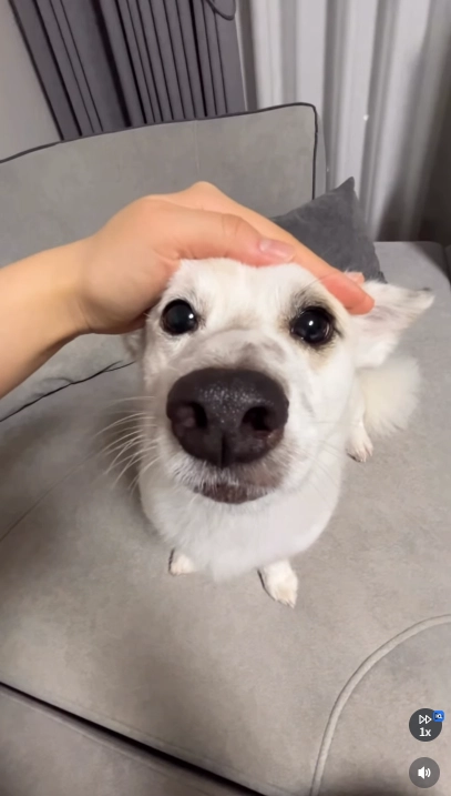 이미지 = 인스타그램 캡처 (https://www.instagram.com/p/DYuaOsrhCP5/)