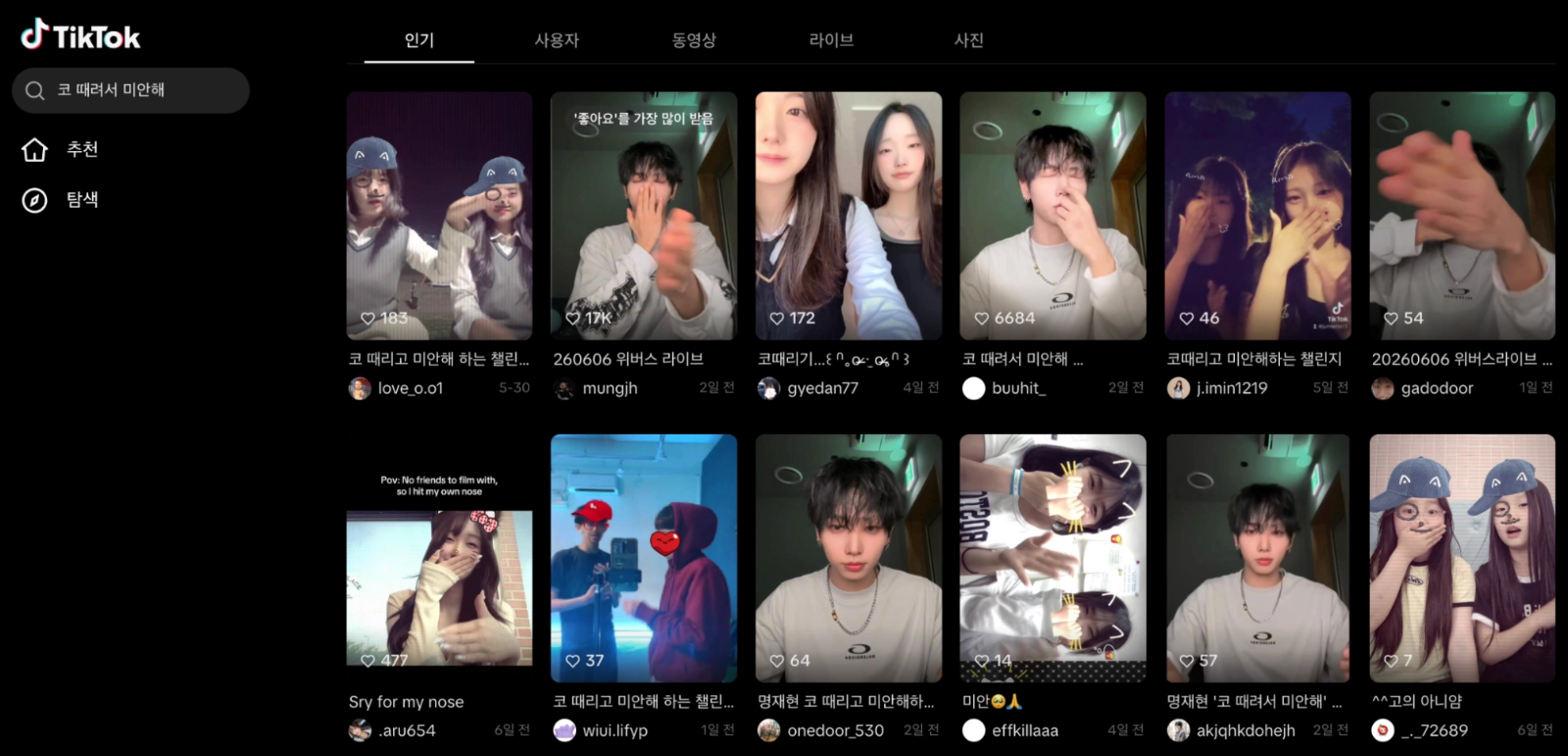이미지 = 틱톡 ‘코 때려서 미안해’ 검색 화면 캡처 (https://www.tiktok.com/search?q=코 때려서 미안해)