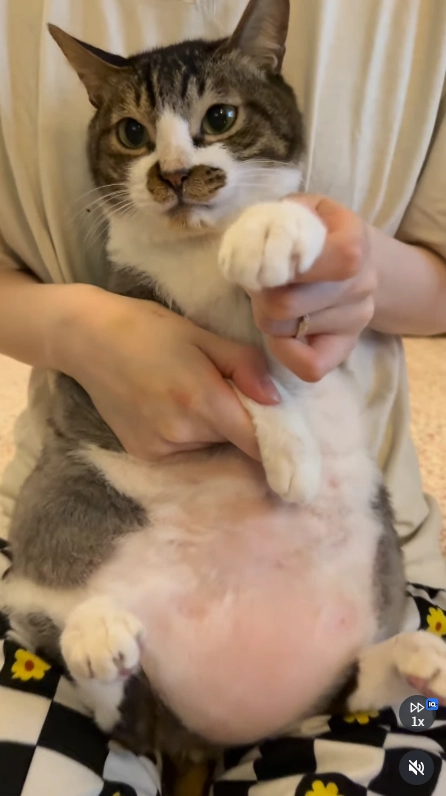 이미지 = X캡처 (https://www.instagram.com/reel/DZC2x9wh0Of/)