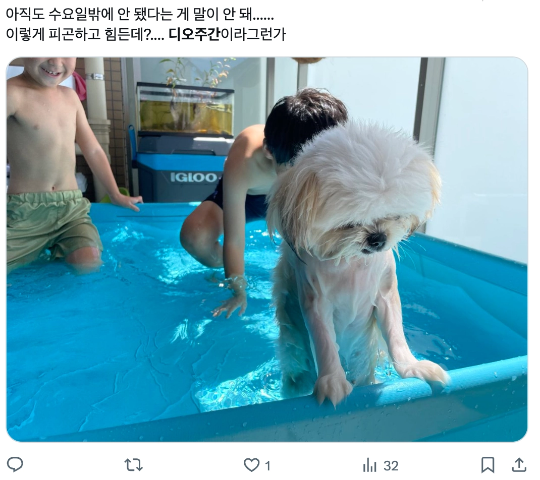 이미지 = X 캡처 (https://x.com/hanomenon/status/2067252480556380236?s=20)