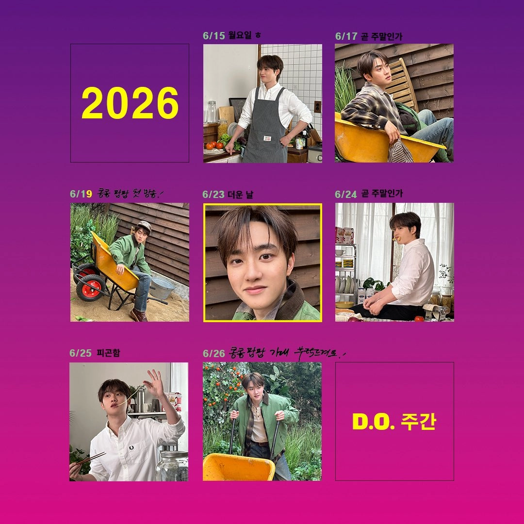 이미지 = X 캡처 (https://x.com/y0urdelight/status/2066373855510413485?s=20)