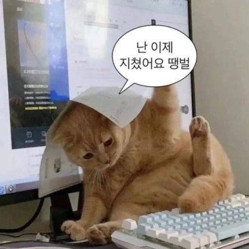 이미지 = 네이버 블로그 캡처 (https://blog.naver.com/230room/223101851223)