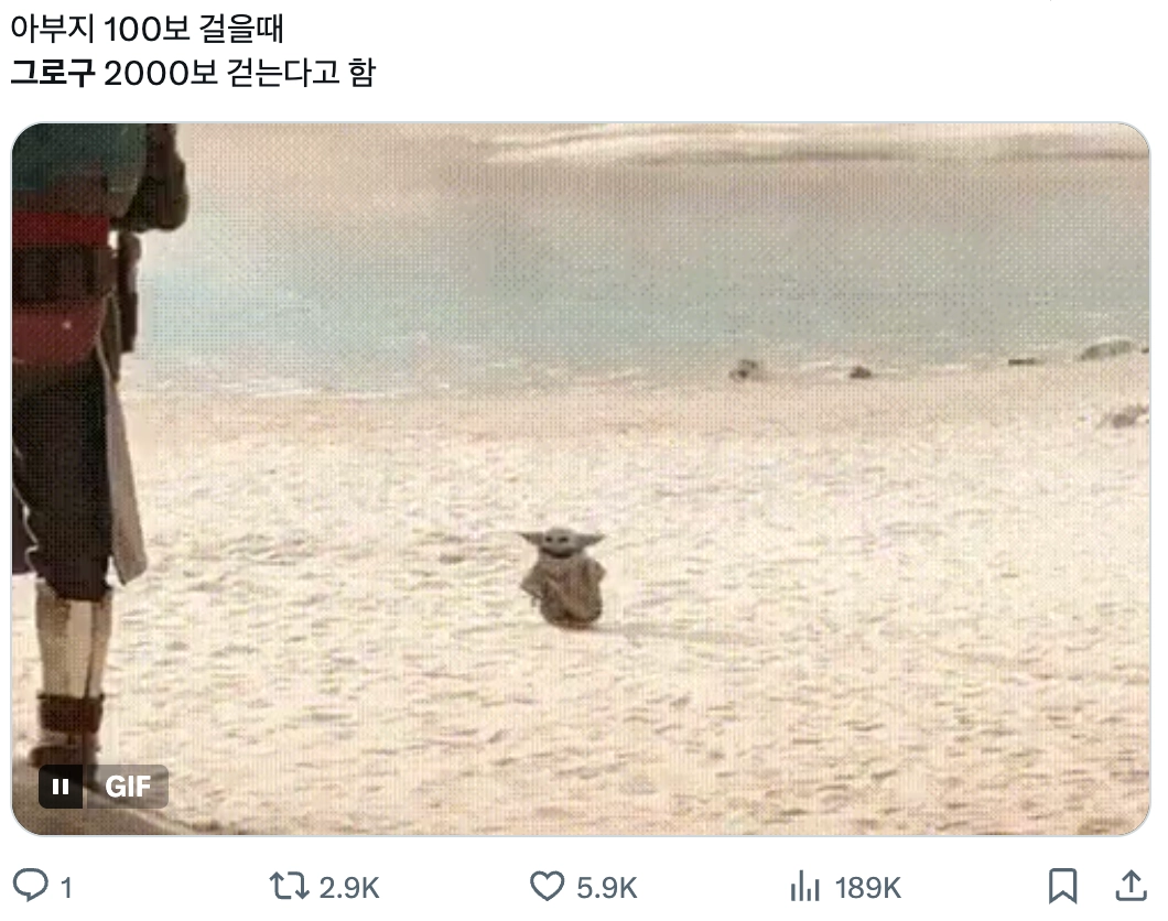 이미지 = X 캡처 (https://x.com/ivd_shot/status/2060265216181698858?s=20)
