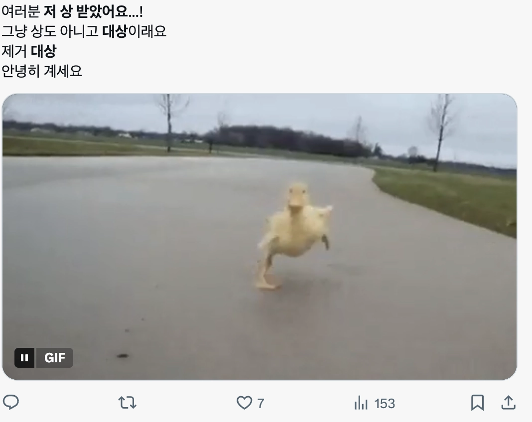 이미지 = X 캡처 (https://x.com/puli211937/status/2057843803588042849?s=20)