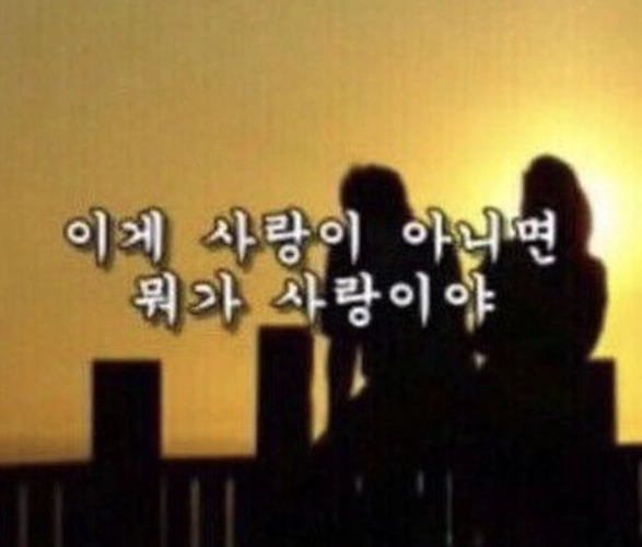 이미지 = 핀터레스트 캡처 (https://kr.pinterest.com/pin/674062269253487987/)