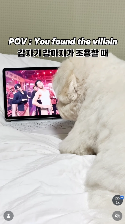 이미지 = 인스타그램 캡처 (https://www.instagram.com/p/DaVO5QqTiMP/)