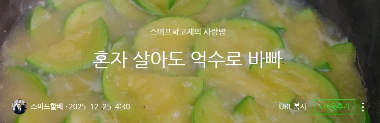 이미지 = 네이버 블로그 캡처 (https://blog.naver.com/adcsk/224117311546)