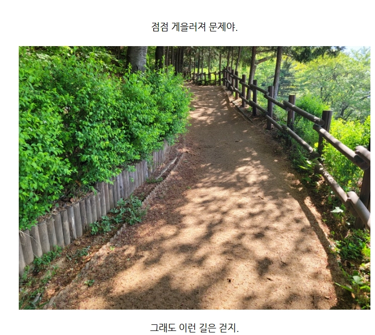 이미지 = 네이버 블로그 캡처 (https://blog.naver.com/adcsk/224263523582)