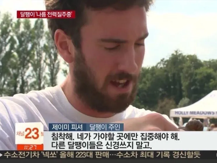 이미지 = X 캡처 (https://x.com/lewin00000/status/1350863197432029189)