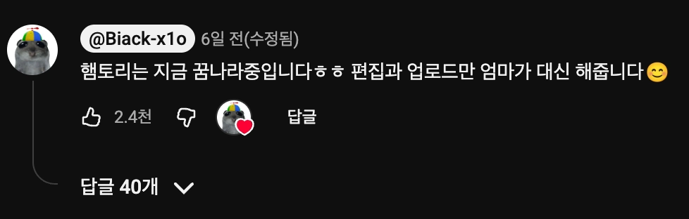 이미지 = 유튜브 ‘@Biack-x1o’ 채널 영상 댓글 캡처 (https://www.youtube.com/watch?v=e0b_GwjbblQ)