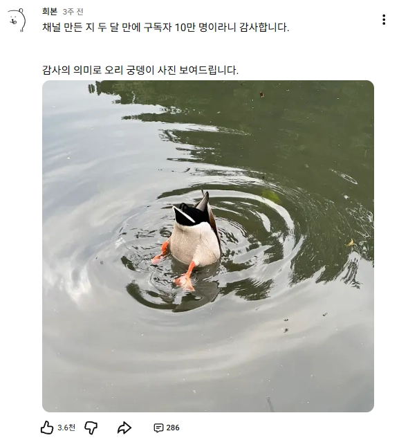 이미지 = 유튜브 캡처 (http://youtube.com/post/Ugkx-EOwnu3ix-Hb4HblsR9fvIBXvCjth7k0?si=nKcMqbuCLJyoOyHf)