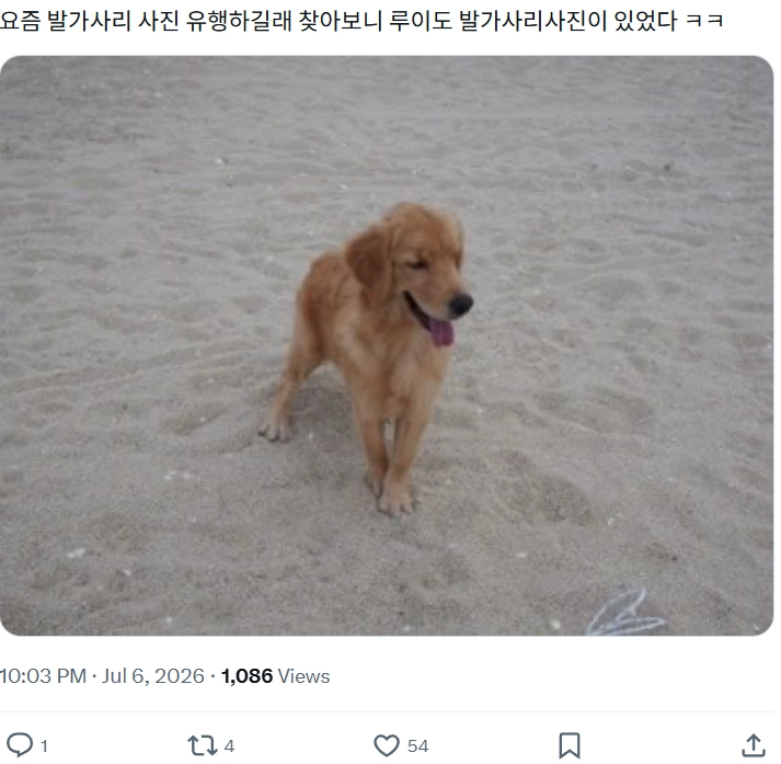 이미지 = X 캡처 (https://x.com/dakiberry/status/2074117029456687252?s=20)