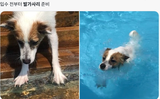 이미지 = X 캡처 (https://x.com/kim_semo/status/2074631530593579305?s=20)
