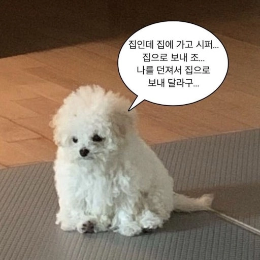 이미지 = 네이버 블로그 캡처 (https://blog.naver.com/ralwldms1/223329070442)