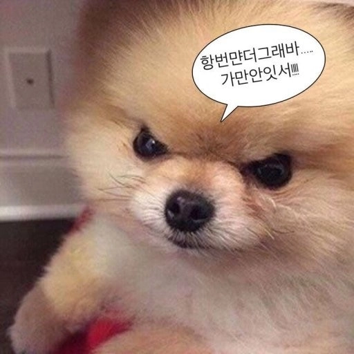이미지 = 네이버 블로그 캡처 (https://blog.naver.com/milkus22/223165749907)