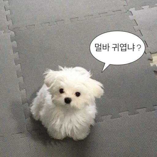 이미지 = 네이버 블로그 캡처 (https://blog.naver.com/gogoa25/223060621143)