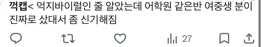 이미지 = X 캡처 (https://x.com/halogen__17/status/2080105557164486858?s=46)