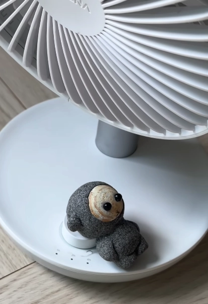 이미지 = X캡처 (https://www.instagram.com/p/DbKNHJavadb/)