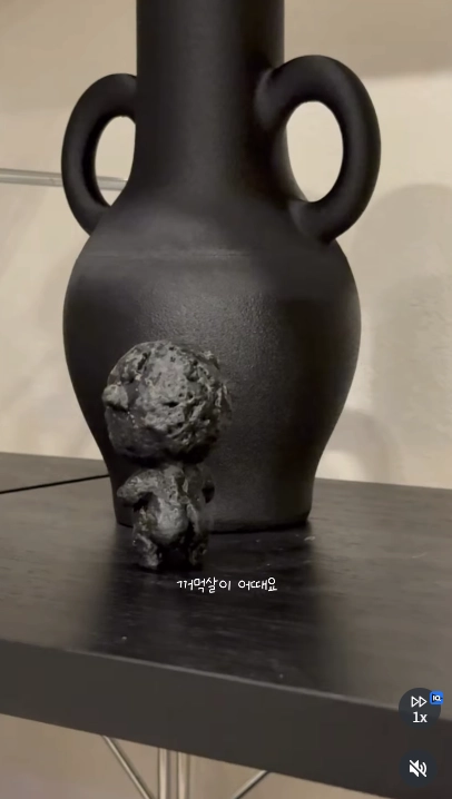 이미지 = 인스타그램 캡처 (https://www.instagram.com/p/DbDv7YTSWuR/)