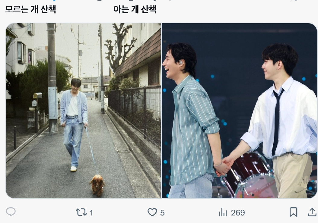 이미지 = X 캡쳐 (https://x.com/PUPPY_LOV3R_/status/1924976546928058614?s=20)