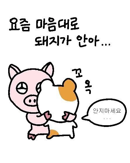 이미지 = 핀터레스트 캡처 (https://kr.pinterest.com/pin/605663849930509805/)