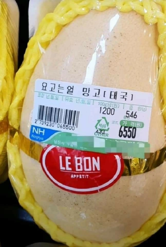 이미지 = 핀터레스트 캡처 (https://kr.pinterest.com/pin/624241198360897340/)