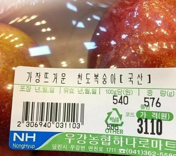 이미지 = 핀터레스트 캡처 (https://kr.pinterest.com/pin/926404585824474522/)