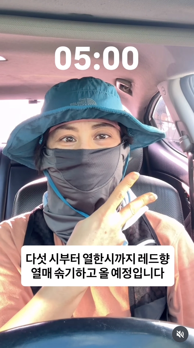 이미지 = 인스타그램 @gyul_sup 캡쳐 (https://www.instagram.com/reel/DbmHsRlhoAd)