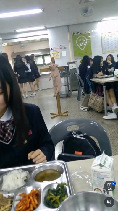 이미지 = 인스타그램 캡처 (https://www.instagram.com/reel/DXzFPgAgRFC/)