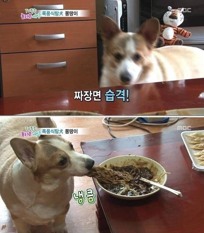 이미지 = 핀터레스트 캡처 (https://kr.pinterest.com/pin/1081004716786301316/)