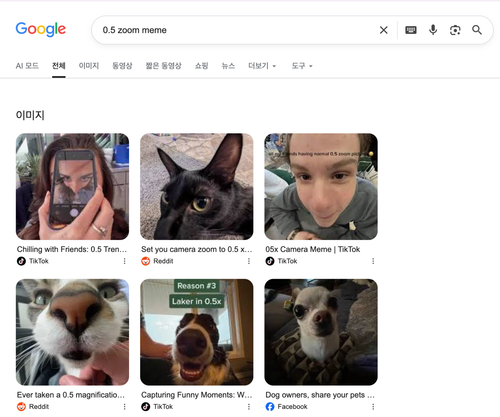 이미지 = 구글 ‘0.5 zoom meme’ 검색 결과 캡처 (https://www.google.com/search?q=0.5+zoom+meme)