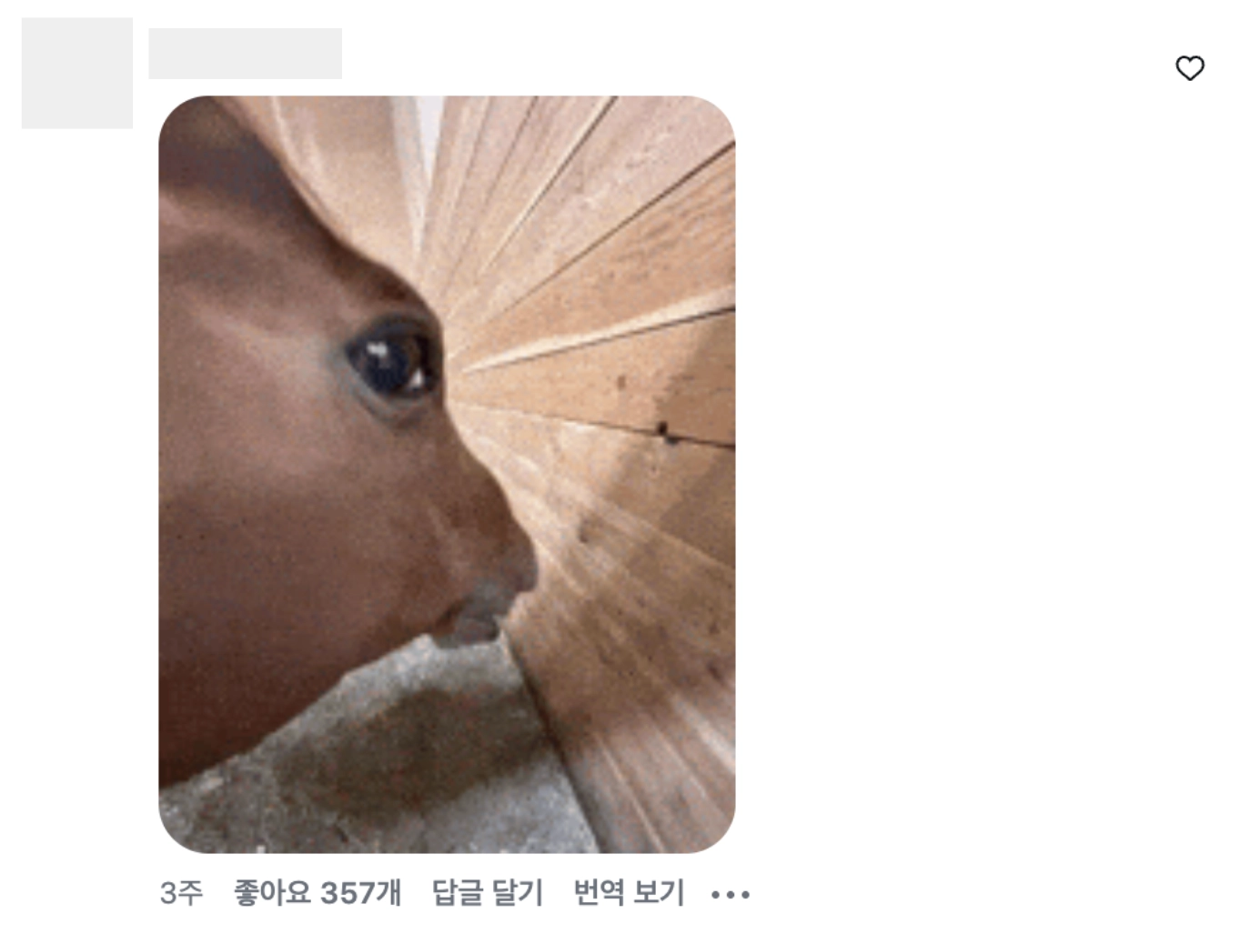 이미지 = 인스타그램 ‘@ccatch_upp’ 채널 릴스 댓글 캡처 (https://www.instagram.com/p/DbXkQBKqF5R/)